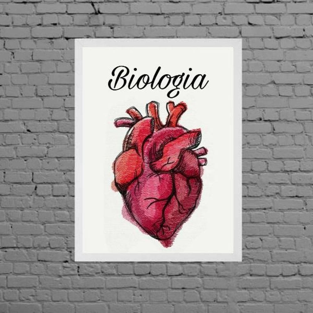 Quadro Decorativo Biologia Coração 33X24Cm Com Vidro Branca