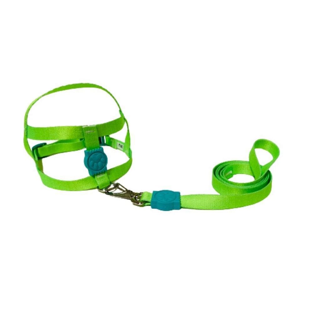 Coleira Peitoral Neon Para Cães Tradicional 15Mm - Verde Nº2