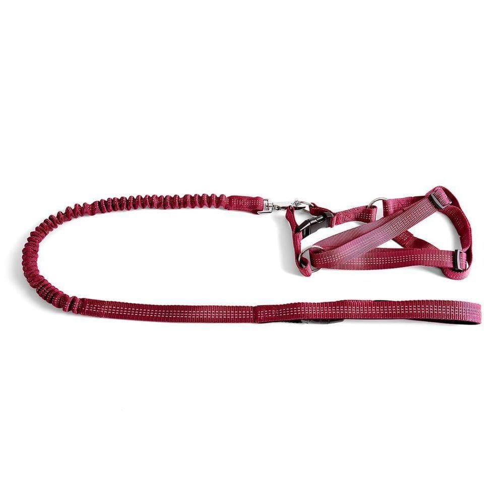 Coleira - Guia Flexível Com Peitoral Tamanho P Vermelho