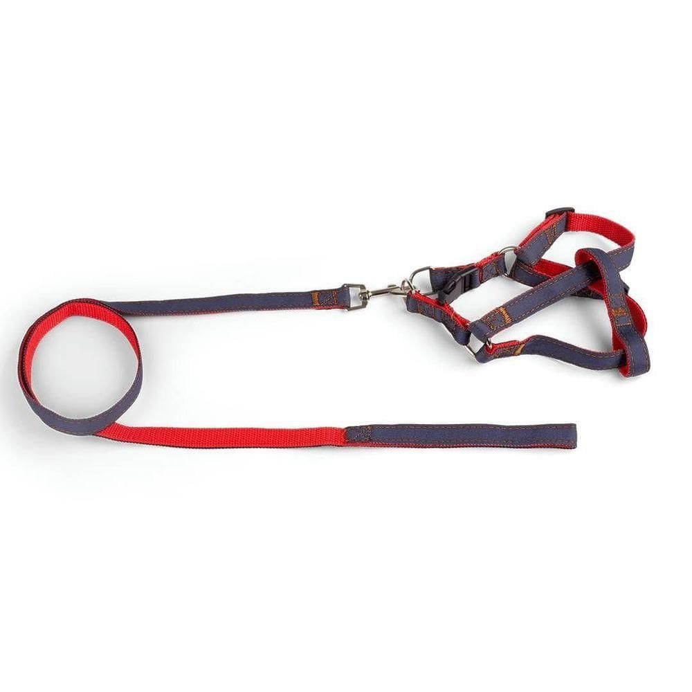 Coleira - Guia Com Peitoral Jeans - P Azul