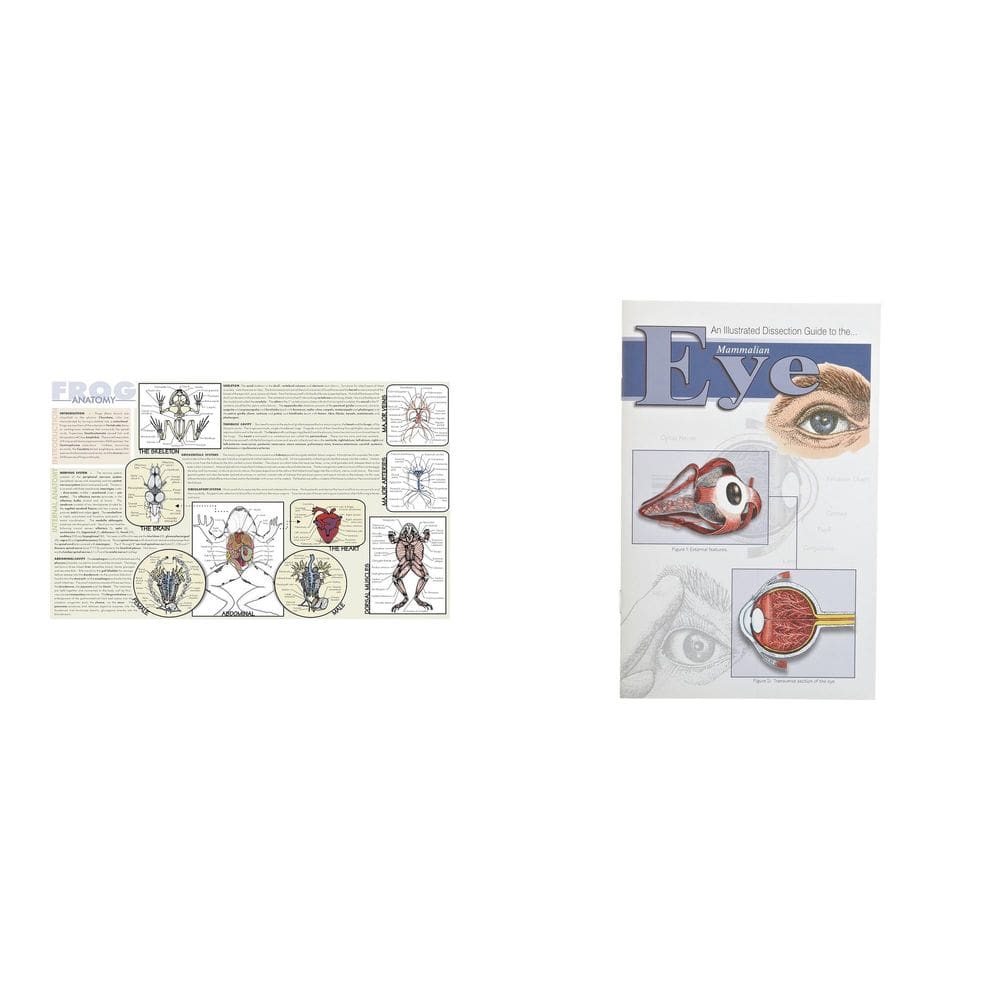 Kit combinado de dissecação de sapos laminados Casafoyer e miniguia