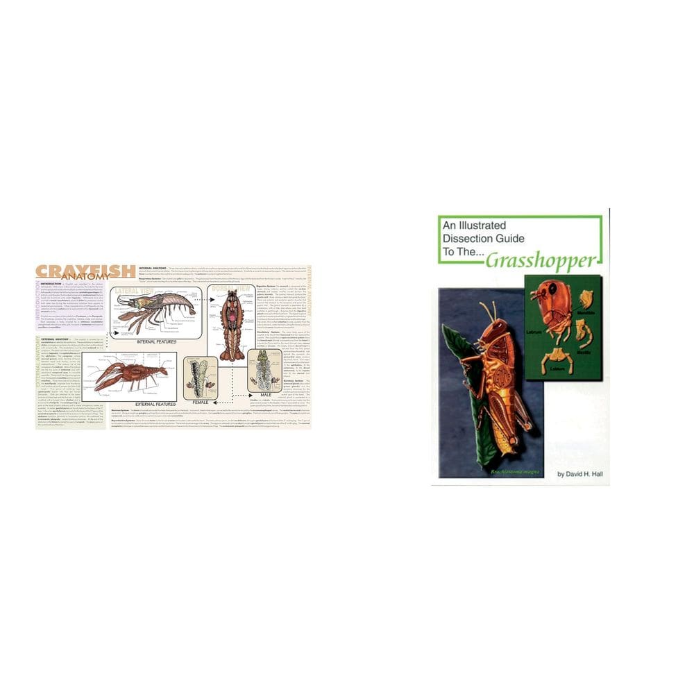 Kit combinado de tapete de dissecação de lagostim laminado Casafoyer e miniguia