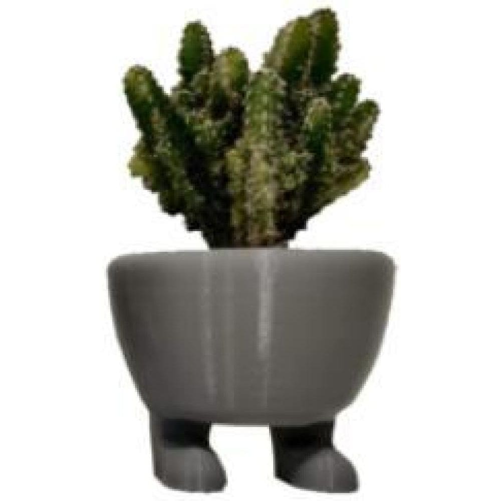 Kit Com 3 Vazinhos Suculenta Pezinhos Pés Adorável