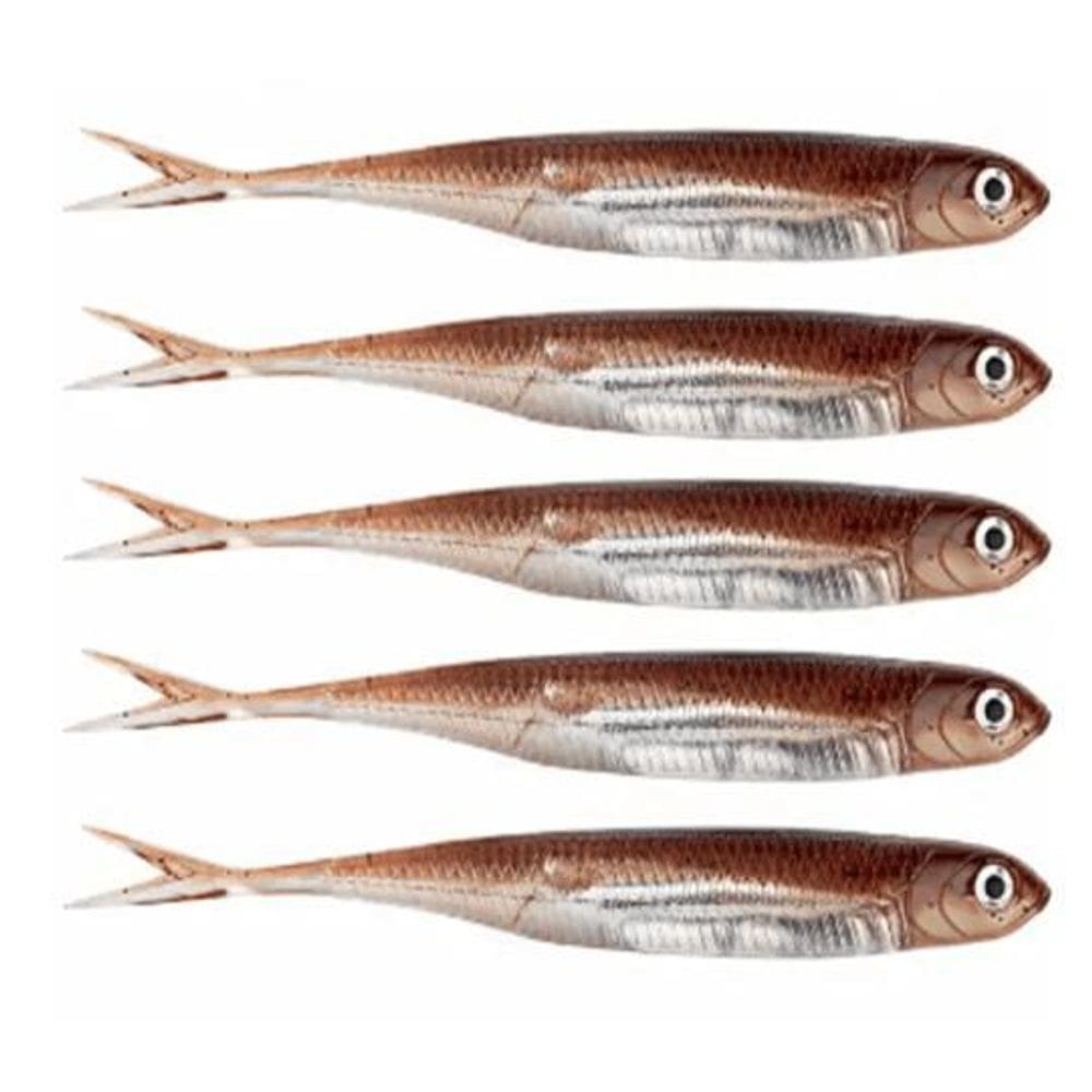 Kit 5 Iscas Artificiais Pesca Real Jig Shad Soft Head 10Cm M