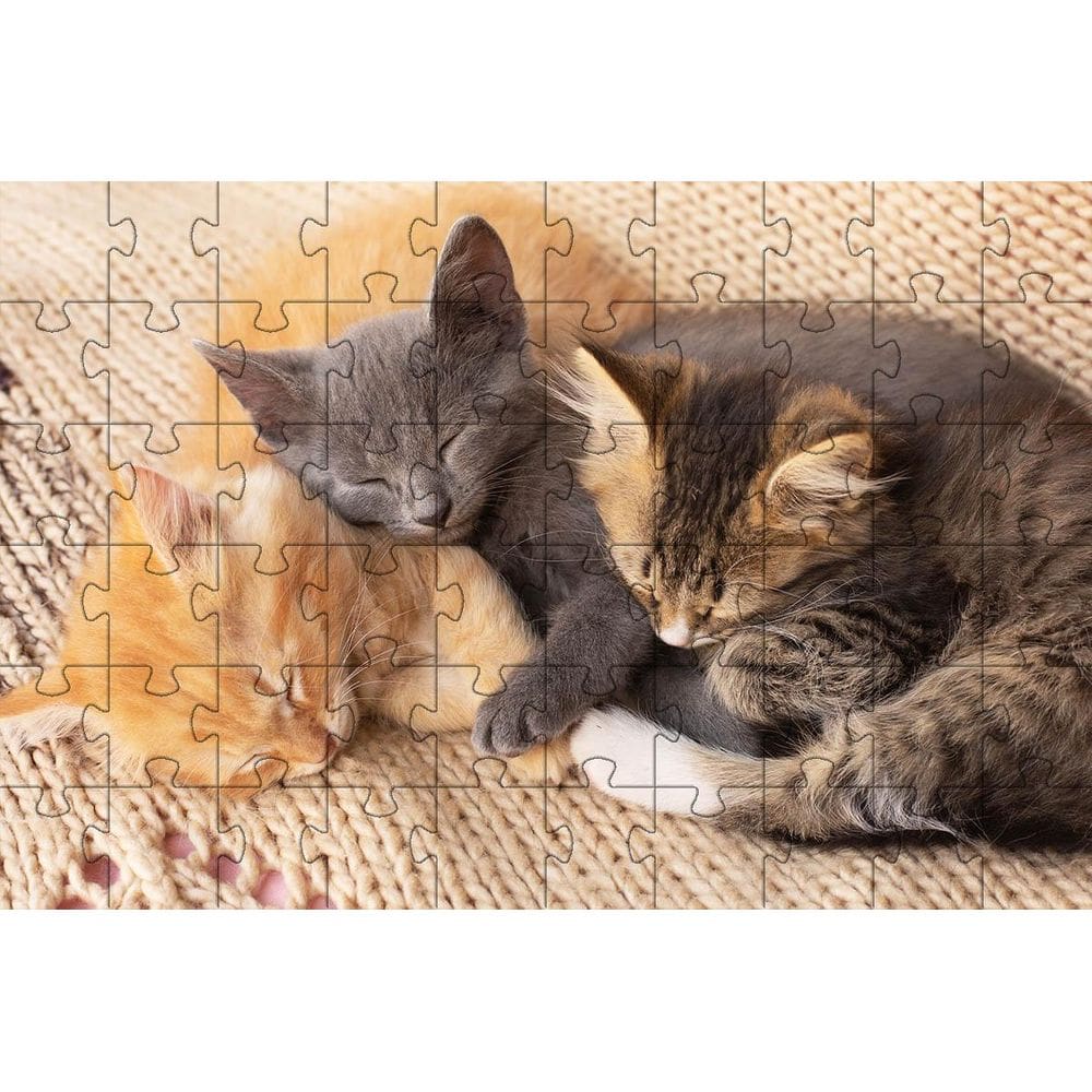 Quebra-Cabeça Educativo 500 Peças Gatinhos Que Encantam E