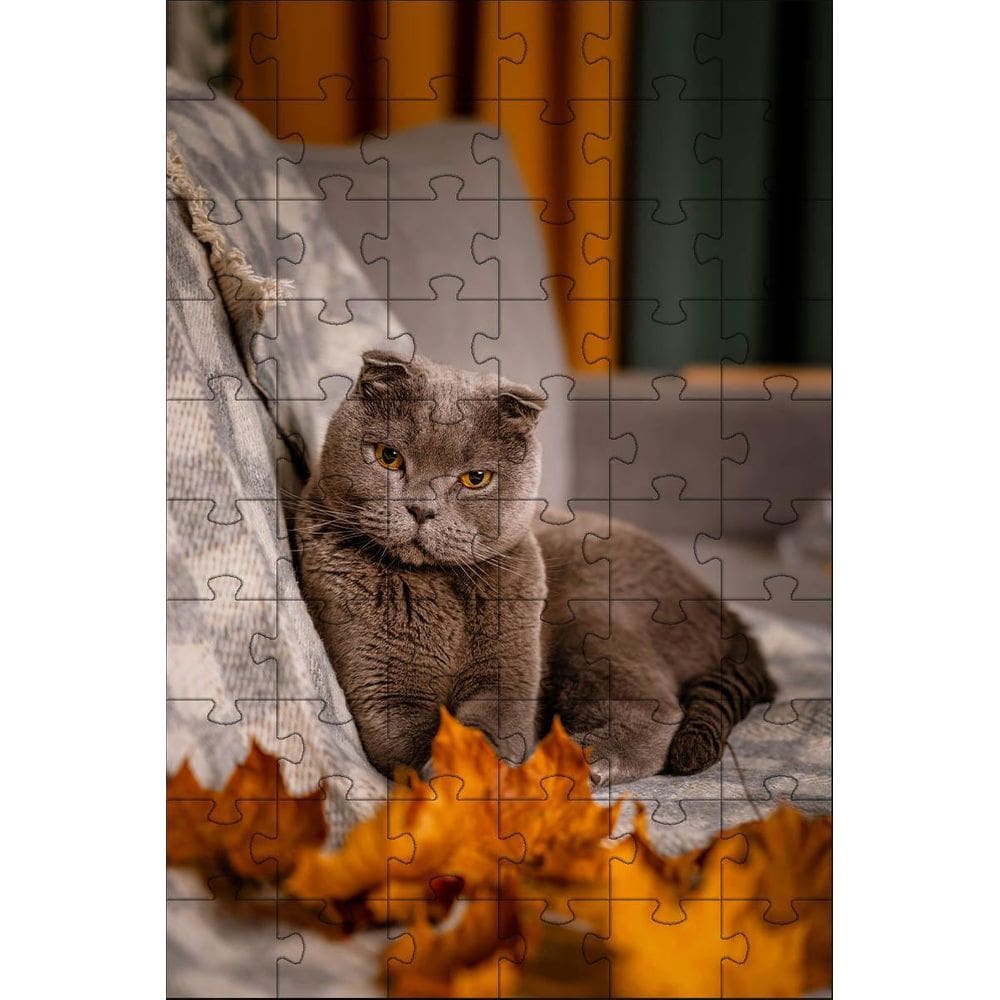 Kit 4 Quebra-Cabeças Gatos Fotos Inteligentes Diversão