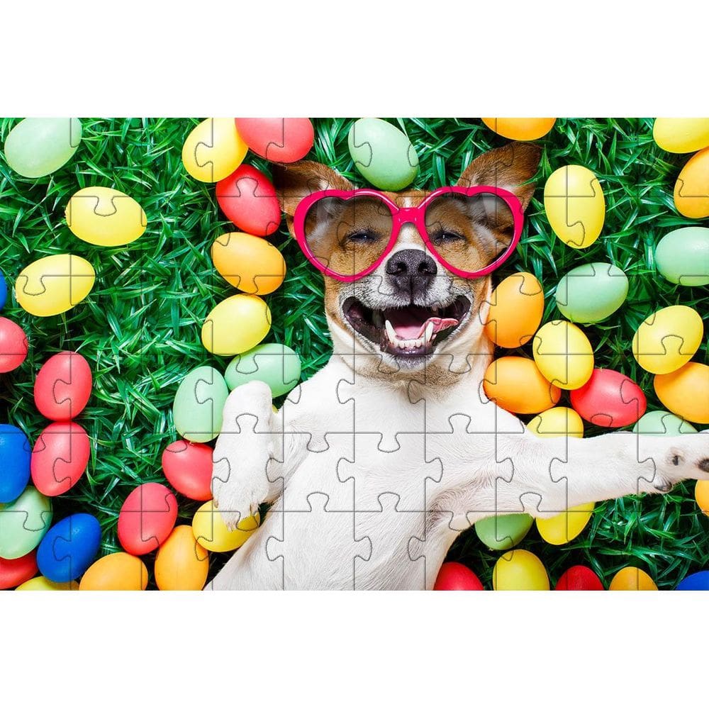 4 Quebra-Cabeças Cachorros Diversão Inclusiva E Inteligente