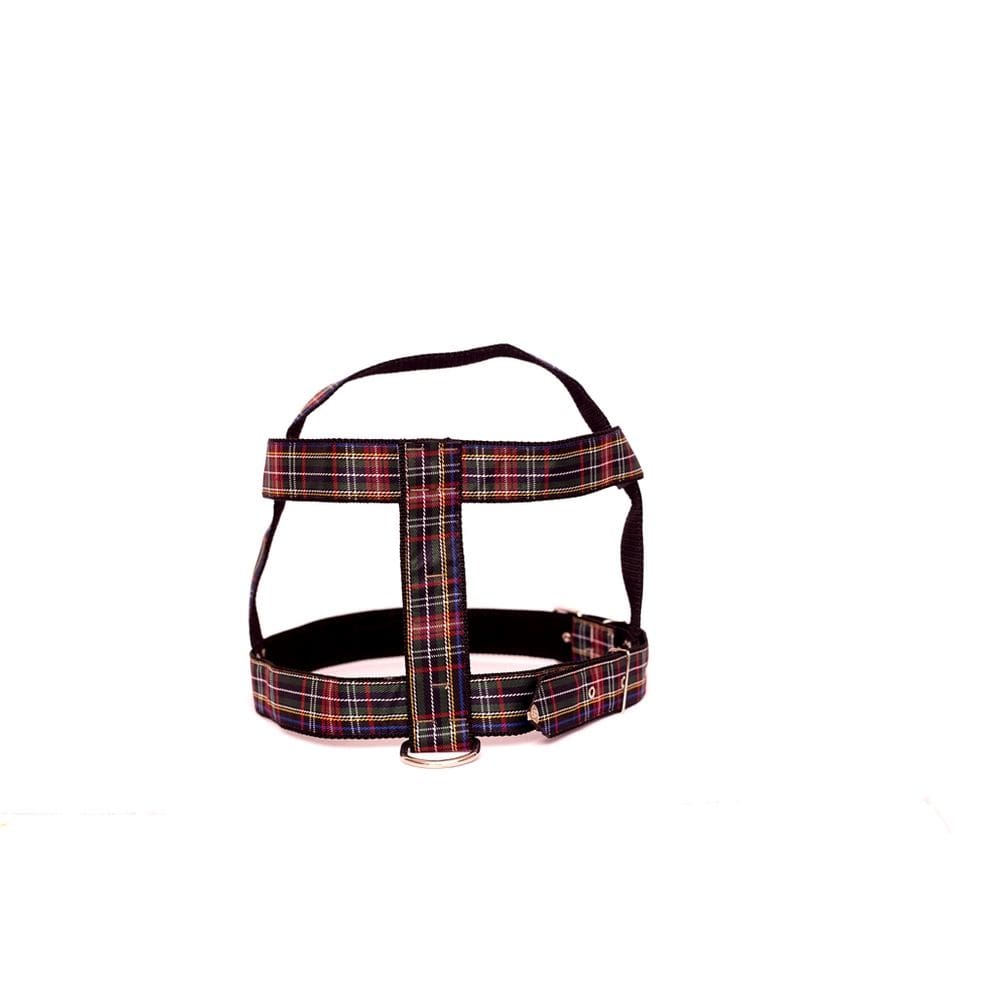 Kit Guia com peitoral 40mm  xadrez preto tam 10  77cm-93cm