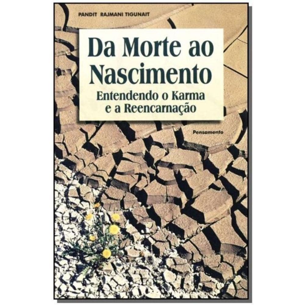 Da Morte ao Nascimento - Entendendo o Karma e a Reencarnação