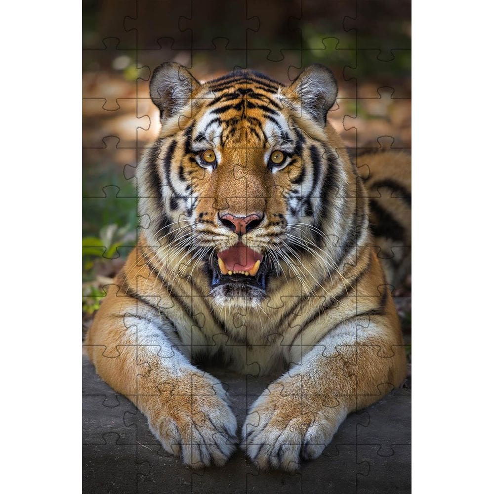 Quebra-Cabeças Tigre De Bengala De 60 Peças Educativo