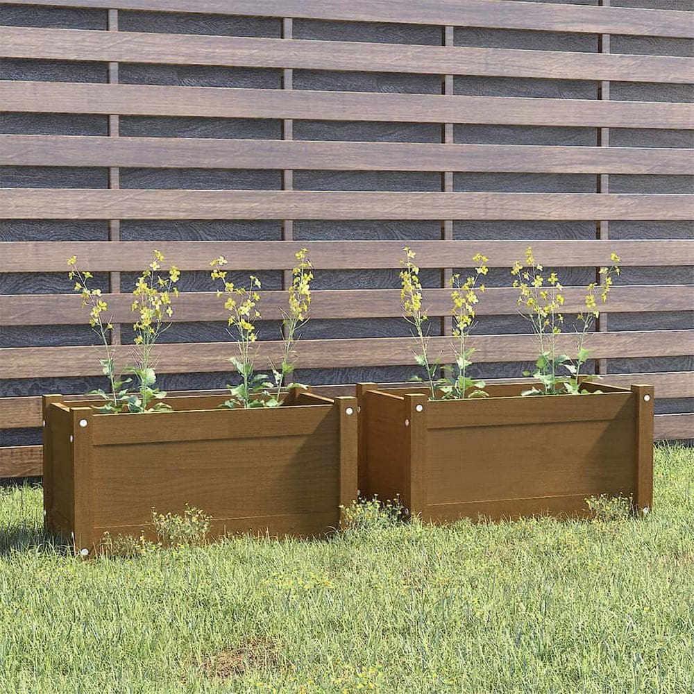 Plantadores de jardim VidaXL Pacote de 2 madeiras maciças de pinho 60x31x31 cm