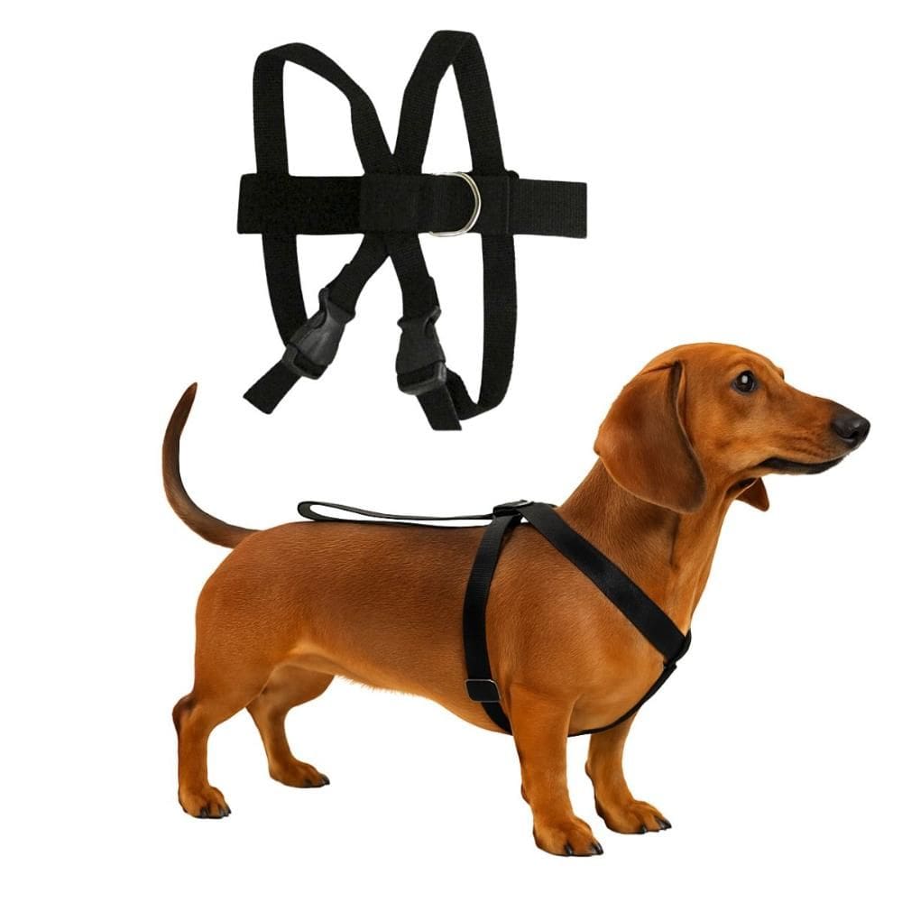 Cinto De Segurança Pet Cachorro Cão Gato Médio Preto