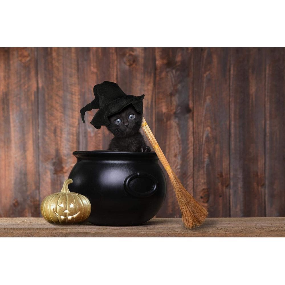Quebra-cabeça Toynk Spooky Kitty Halloween 1000 peças