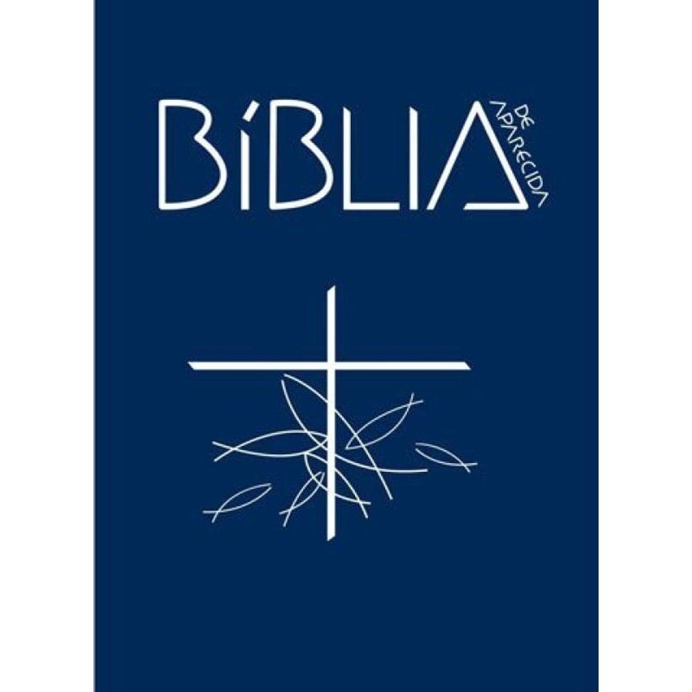 Biblia De Aparecida Bolso Cristal