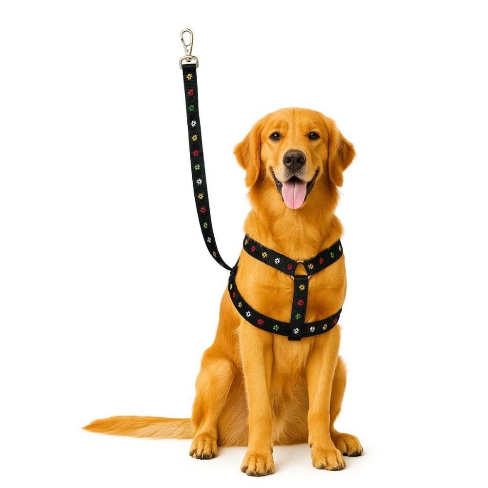 Guia Peitoral Coleira Pet Cachorro Cão Pequeno Porte Nº1