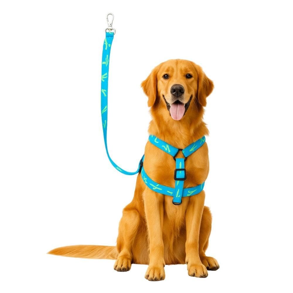 Guia Peitoral Coleira Pet Cachorro Médio Grande Porte Cactus