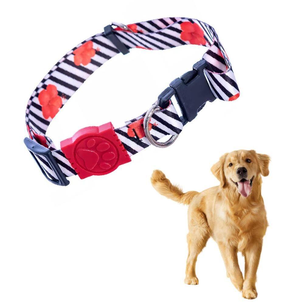 Coleira para Cachorro Pet Regulável até 65cm Guia Listrada