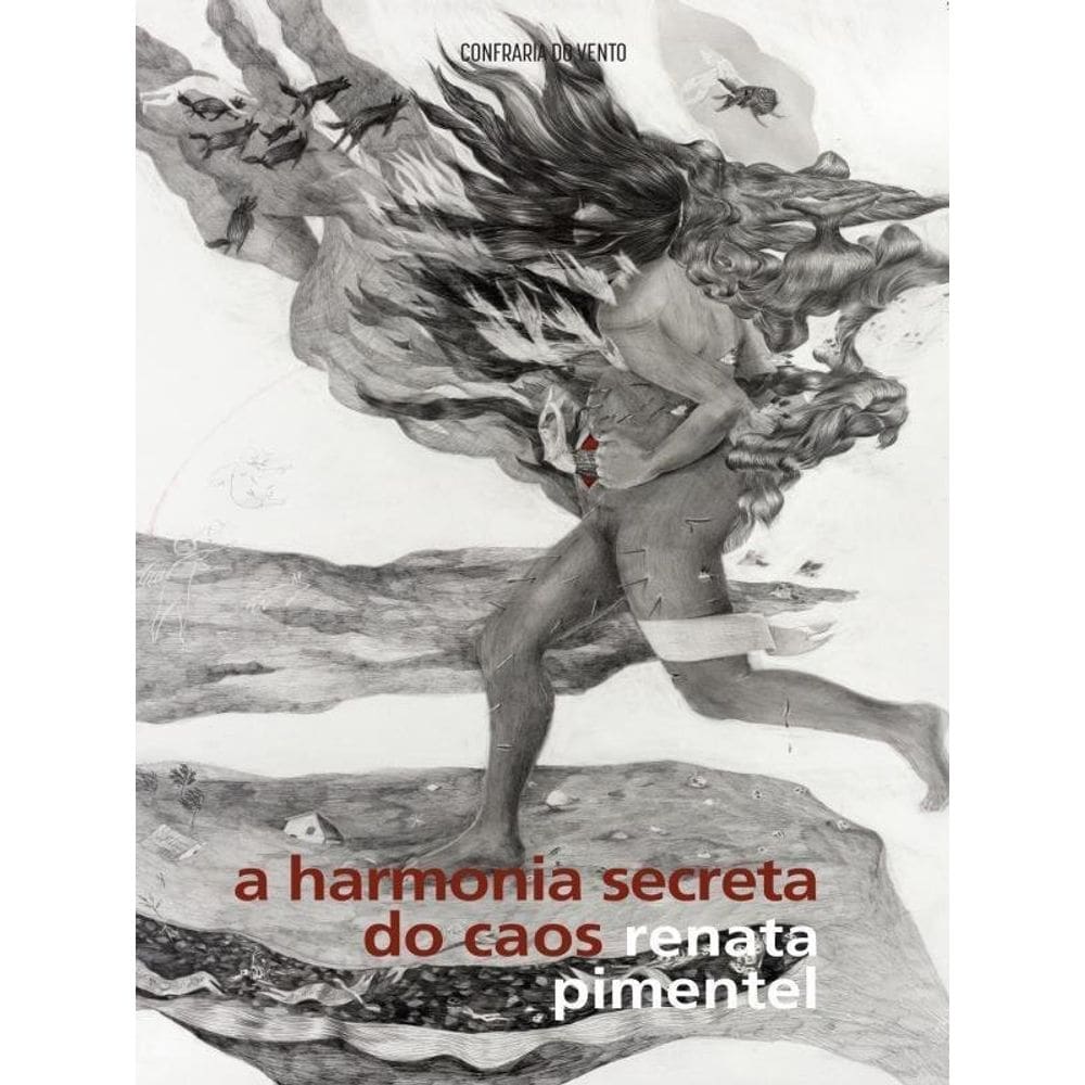 A Harmonia Secreta Do Caos