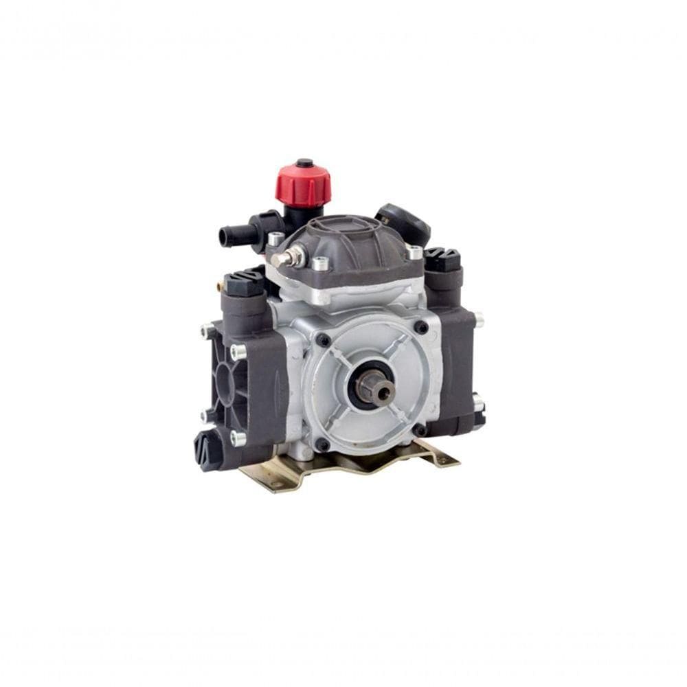 Bomba Fr-202 Dp020 22 Litros-min 1,5hp 25bar 360psi 650rpm