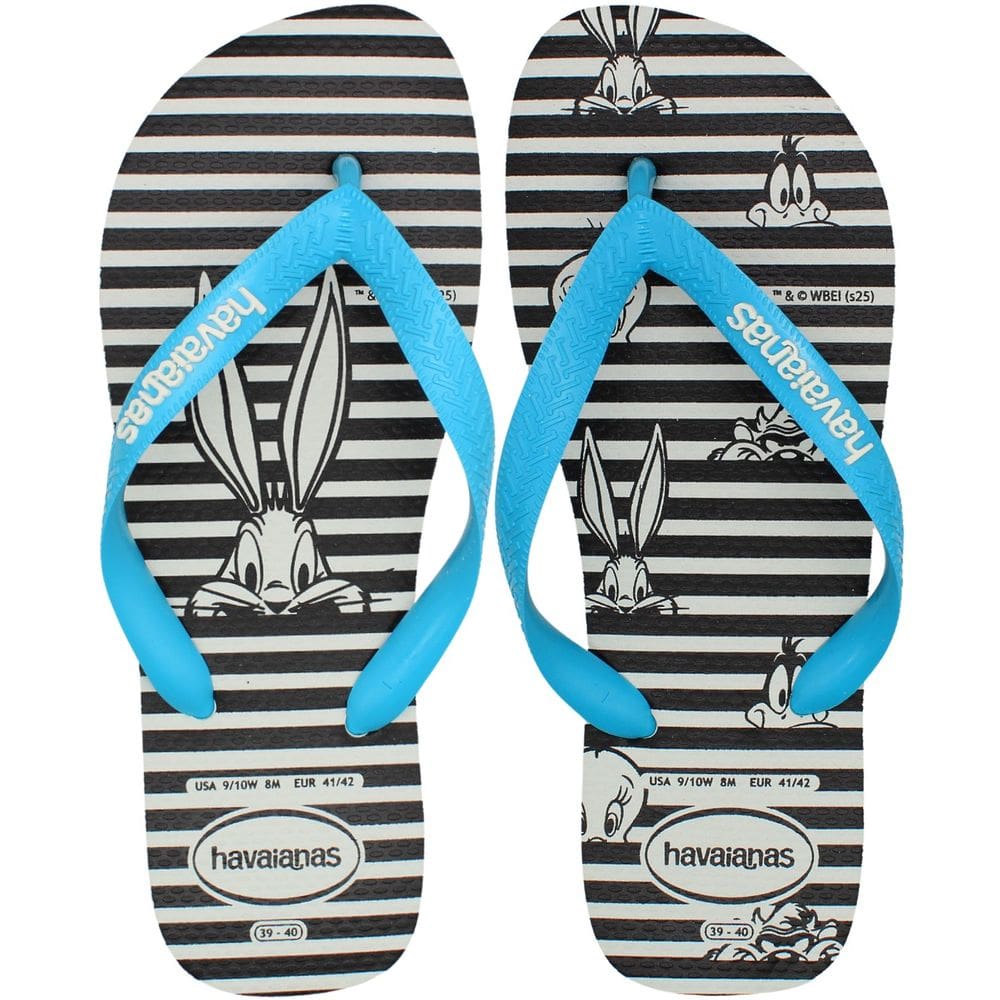 Chinelo De Dedo Havaianas Top Warner Logo Masculino