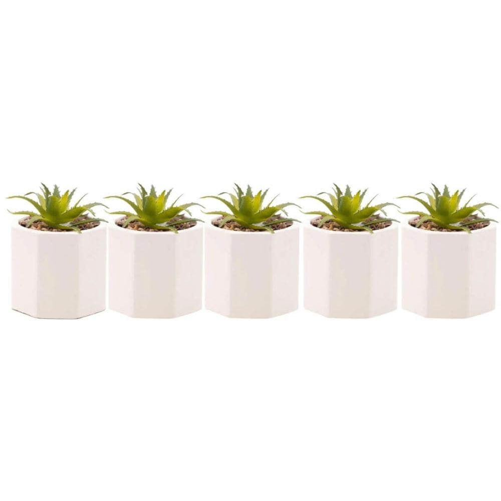 Kit 5 Cachepot De Cimento Com Suculenta 7,5x9,5cm Wolff Geométrico Decoração Artificial Casa