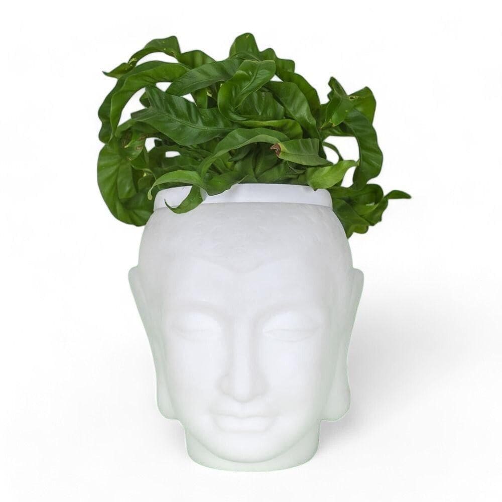 Cachepot Zen Branco - Elegância Minimalista Para Plantas Em Ambientes Com Estilo