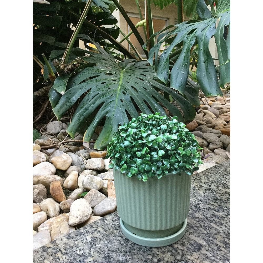 Vaso Planta Cachepô Decorativo de Cerâmica 13x14 Verde