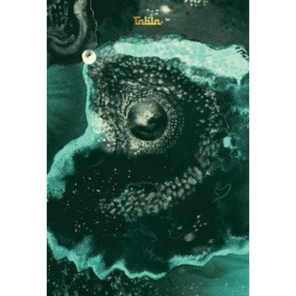 Relatos Da China E Da Índia