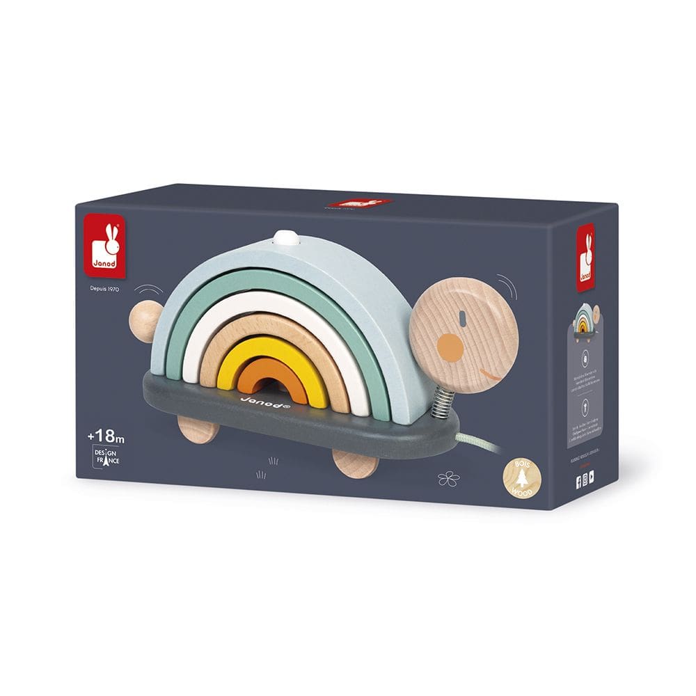 Tartaruga Arco Íris De Madeira Montável Janod Brinquedo Educativo Para Crianças +18m