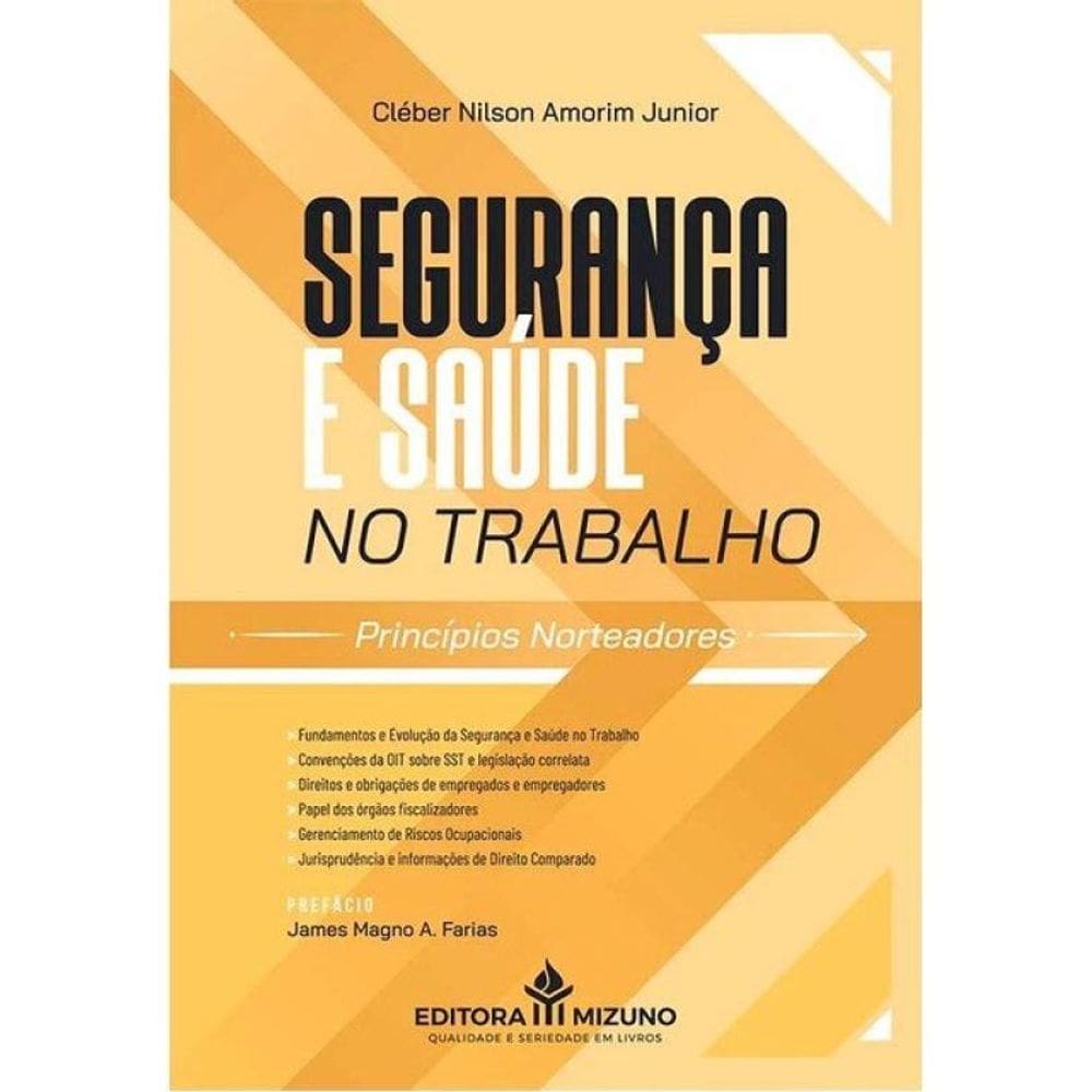 Segurança E Saúde No Trabalho - Princípios Norteadores - 2025