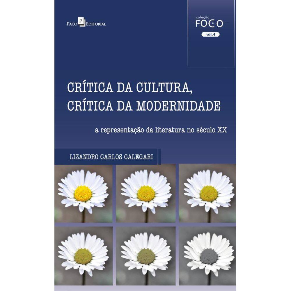 Crítica da Cultura, Crítica da Modernidade