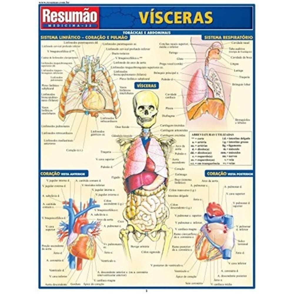 Resumao - Visceras - 2ª Ed.
