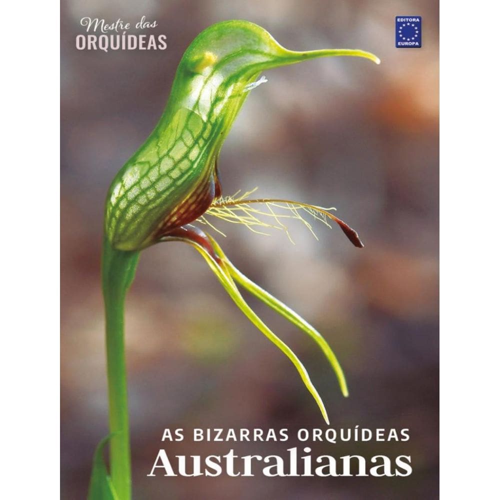 Bizarras Orquideas Australianas - Mestre Das Orquideas - Vol. 21,As