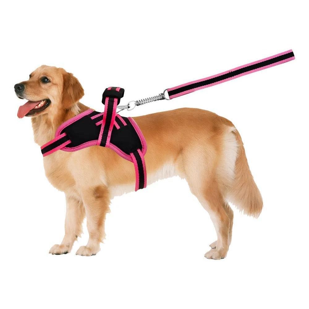 Guia Para Cães Coleira Peitoral Com Alça Reforçado Pit Bull