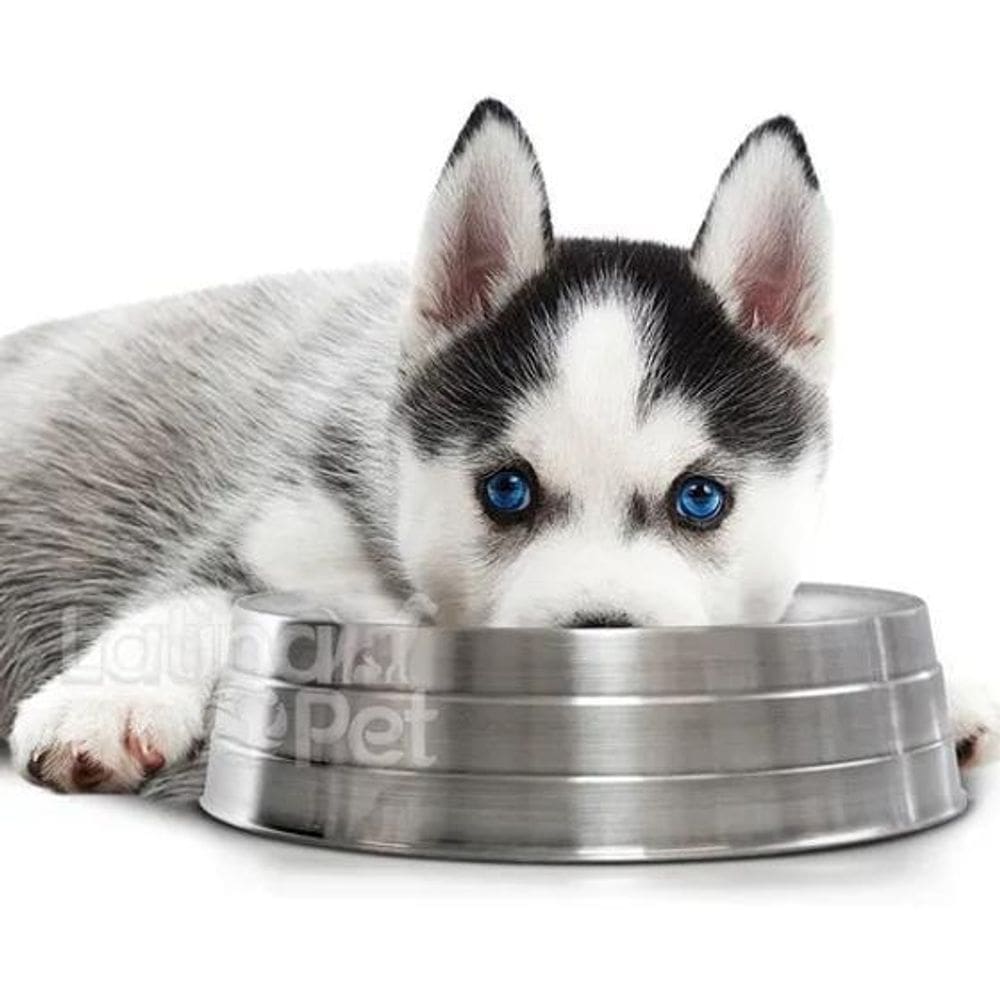 Comedouro De Alumínio Pesado Gigante 2800Ml