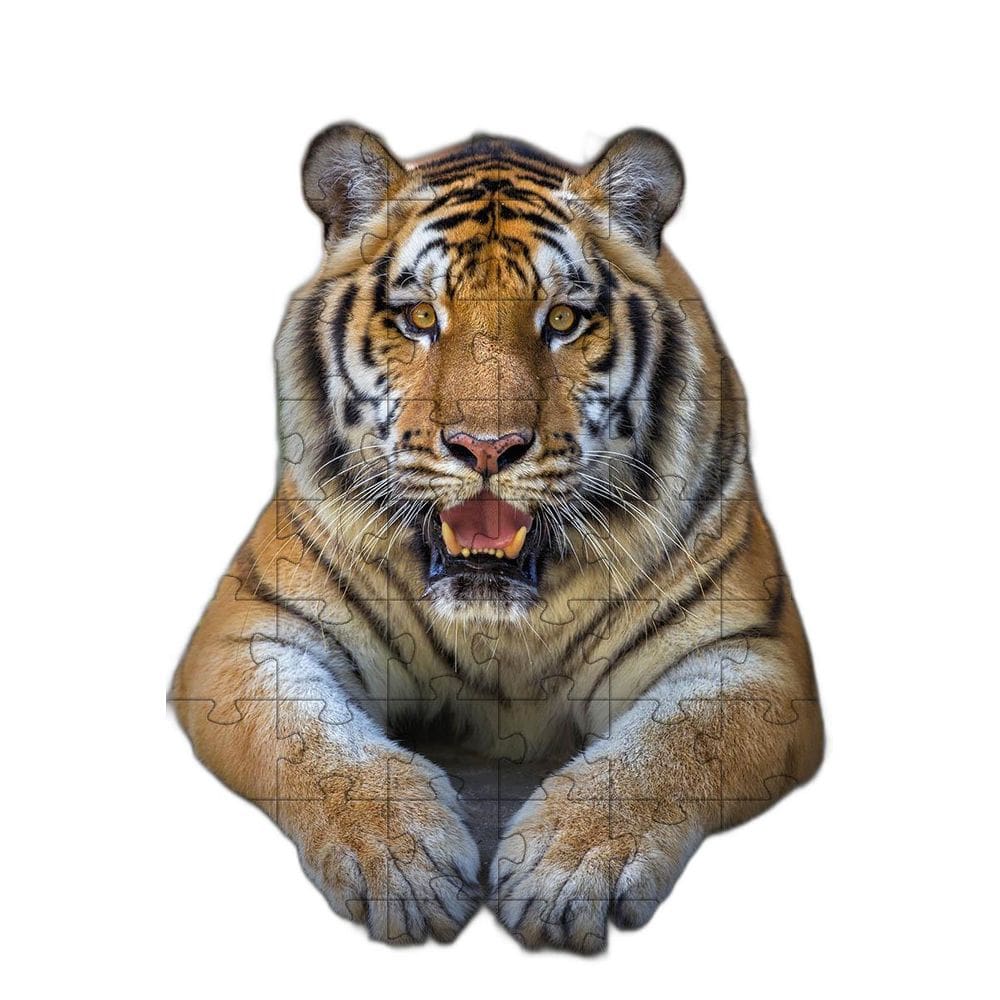 Quebra-Cabeças Tigre De Bengala De 60 Peças Educativo