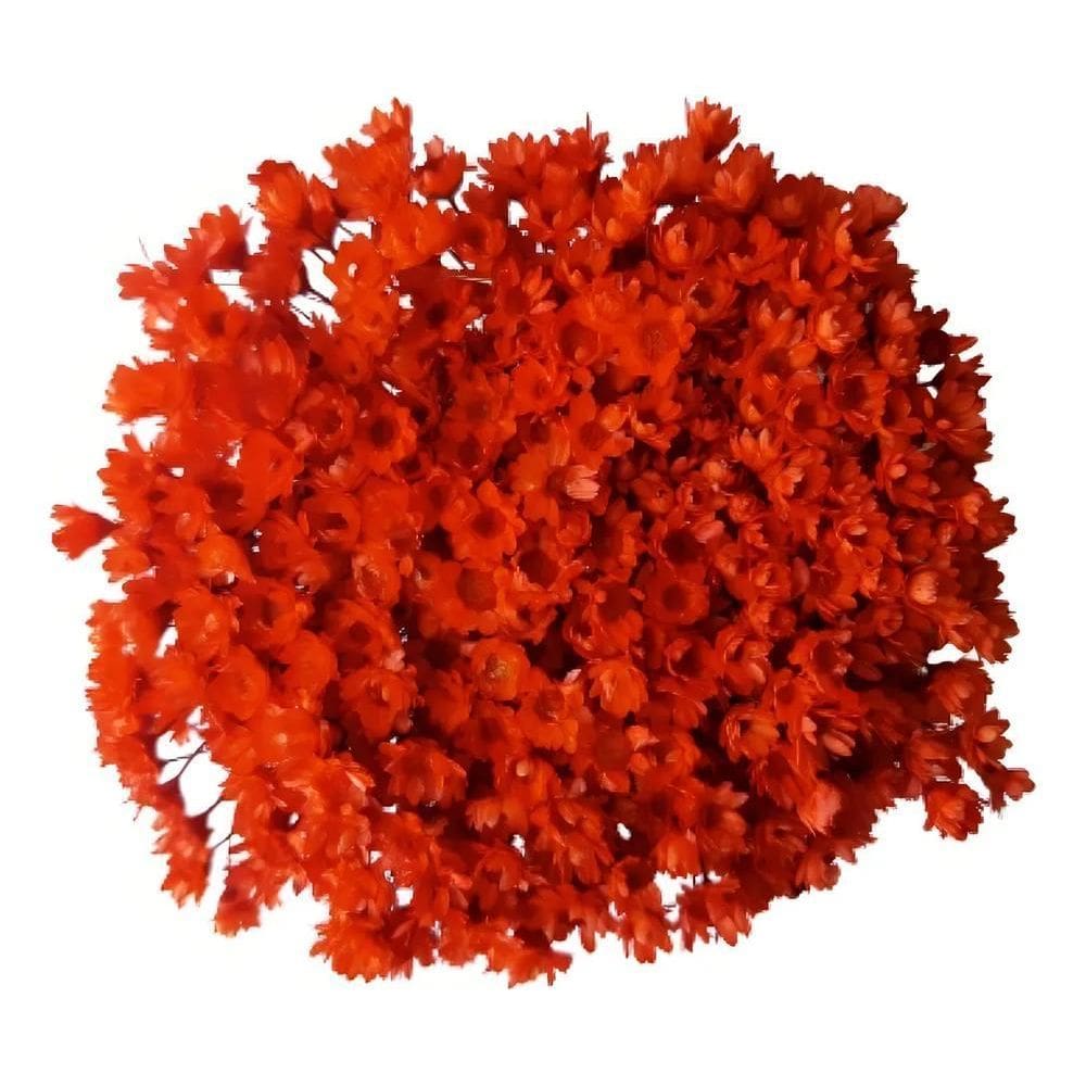 Flores Sempre Viva 500 Un. Vermelho Lembrancinha Decoração.