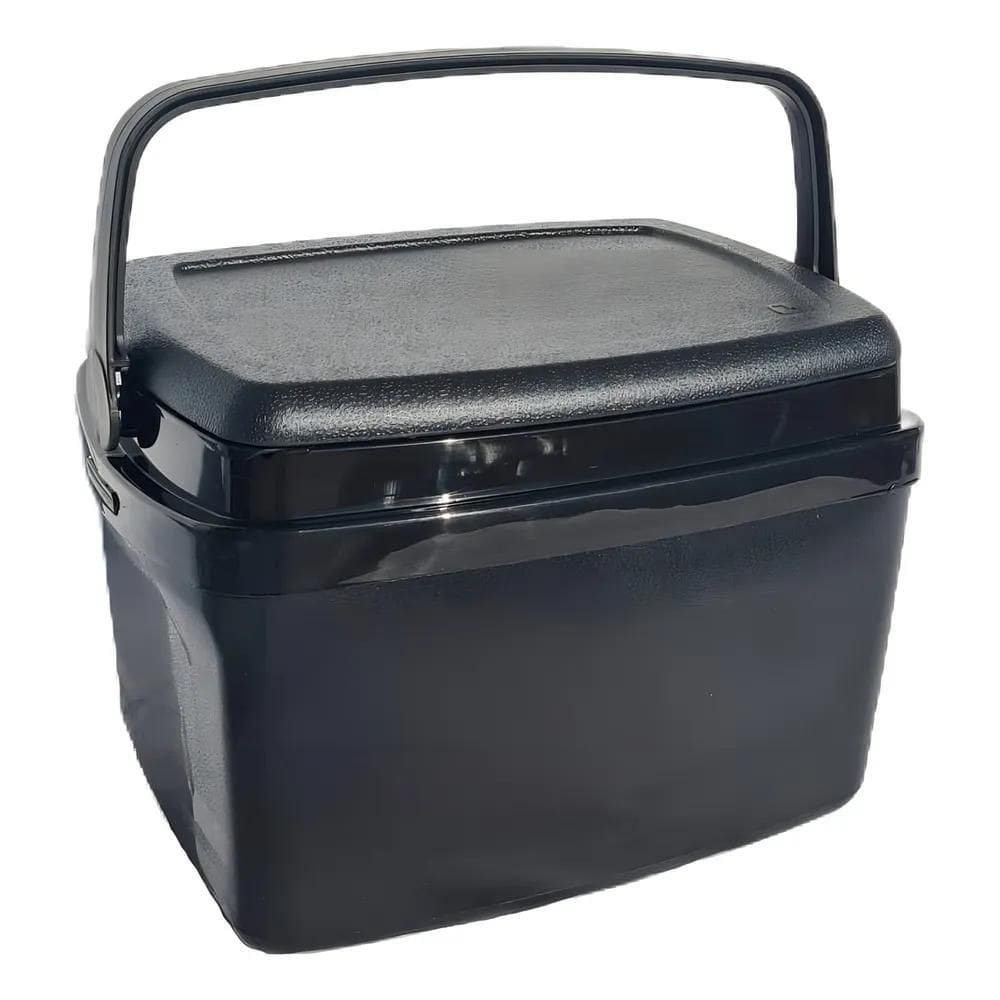 2X Cooler Caixa Térmica Com Alça Praia Camping Pesca 12 Litr