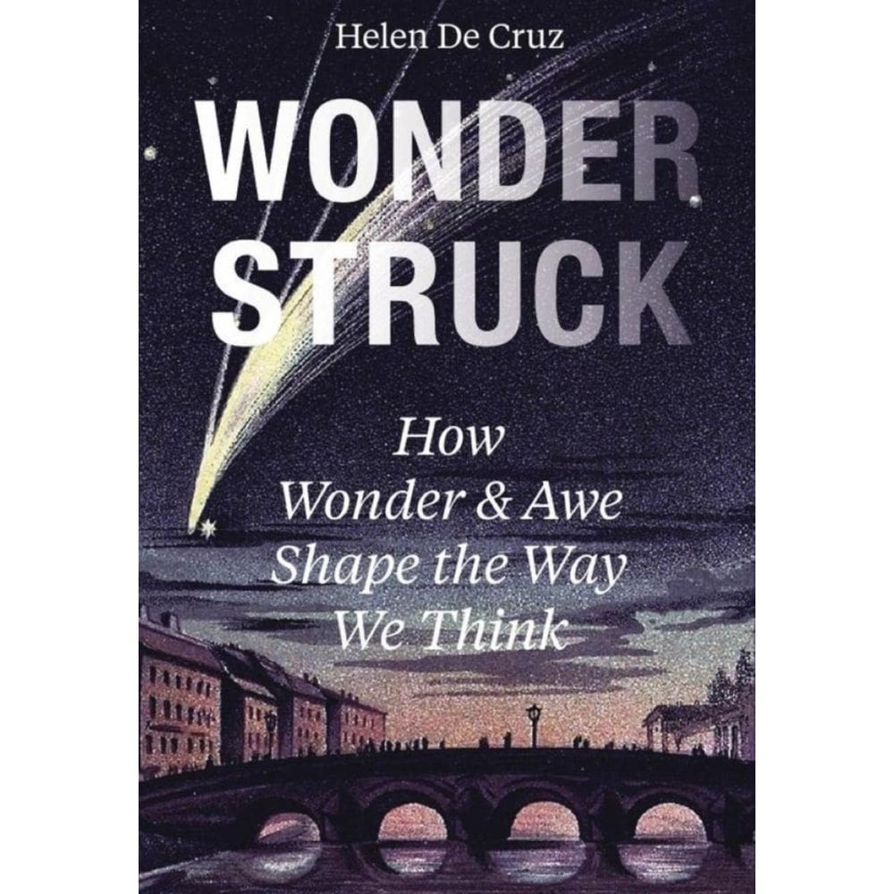 Wonderstruck - Inglês