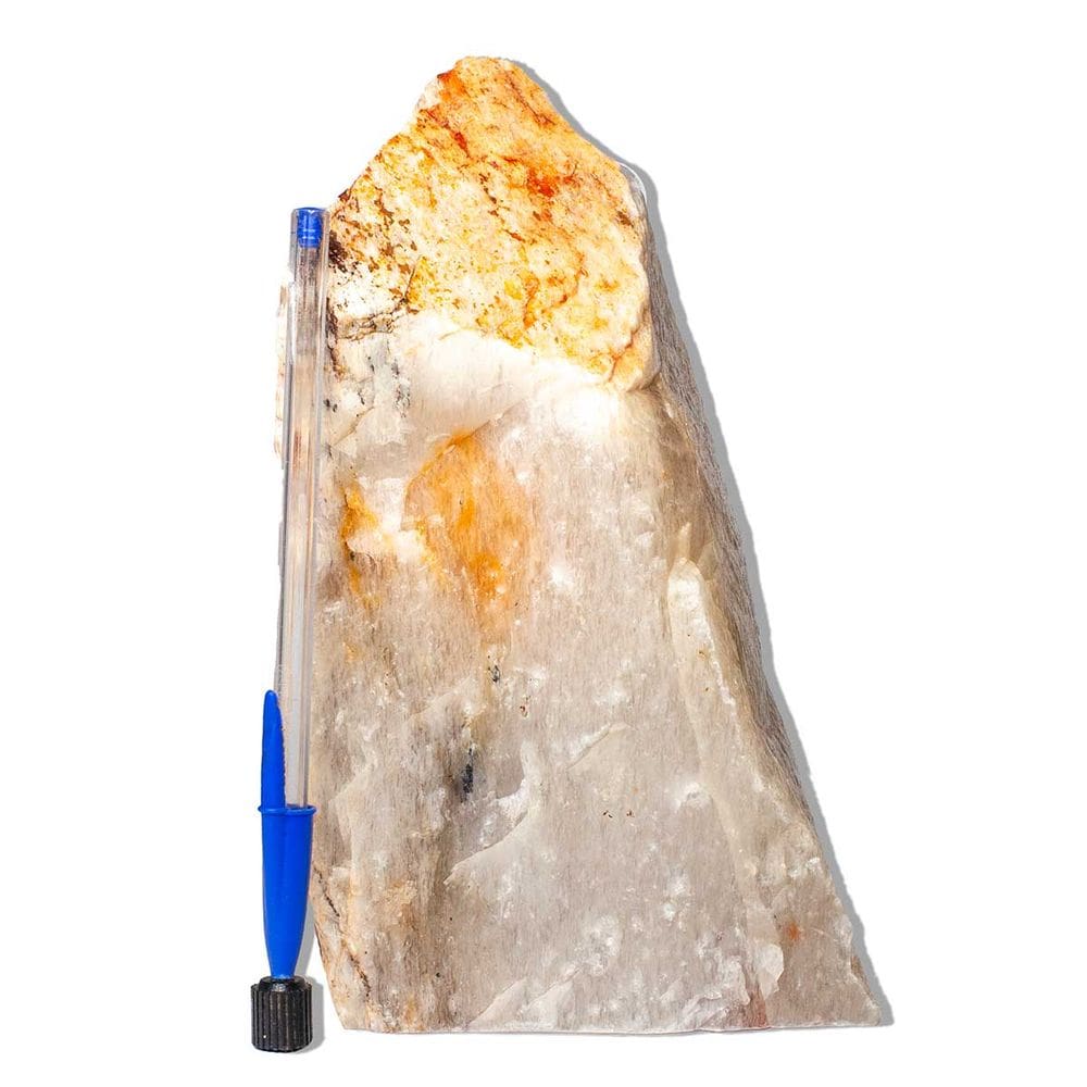 01 Aragonita Raio Laranja Pé Serrado 3-4kg 18-28cm Tipo B