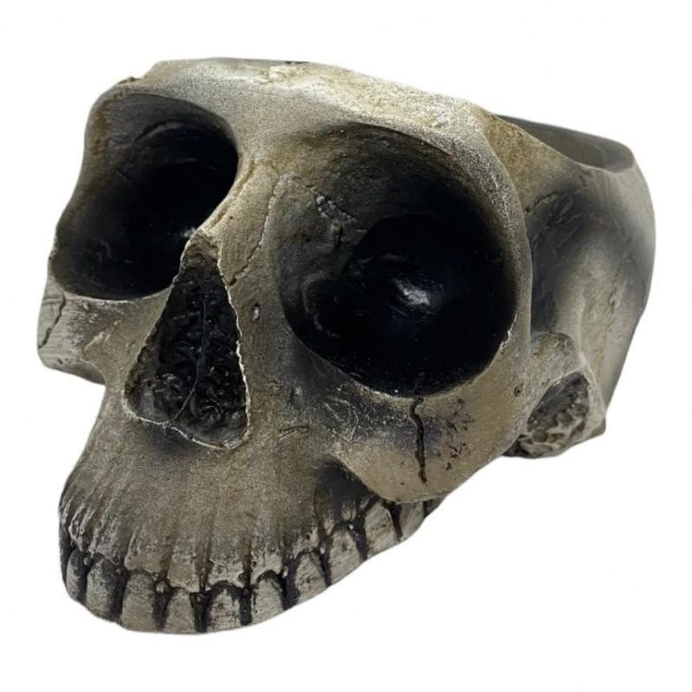 Escultura Crânio Porta Velas Marfim Em Resina 10 Cm
