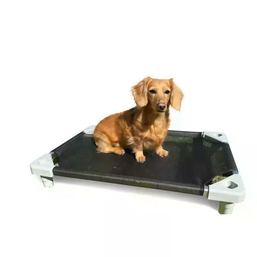 Caminha Elevada E Empilhável Para Cães Petconfort P M G - P