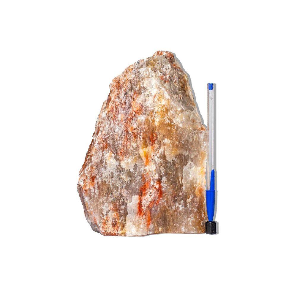 01 Aragonita Raio Laranja Pé Serrado 6-8kg 22-30cm Tipo B