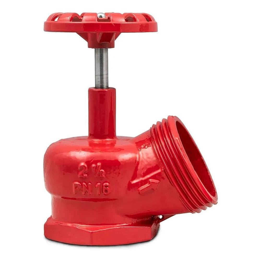 2X Válvula Globo Angular Pn16 2.1/2 X 45 Graus Segurimax
