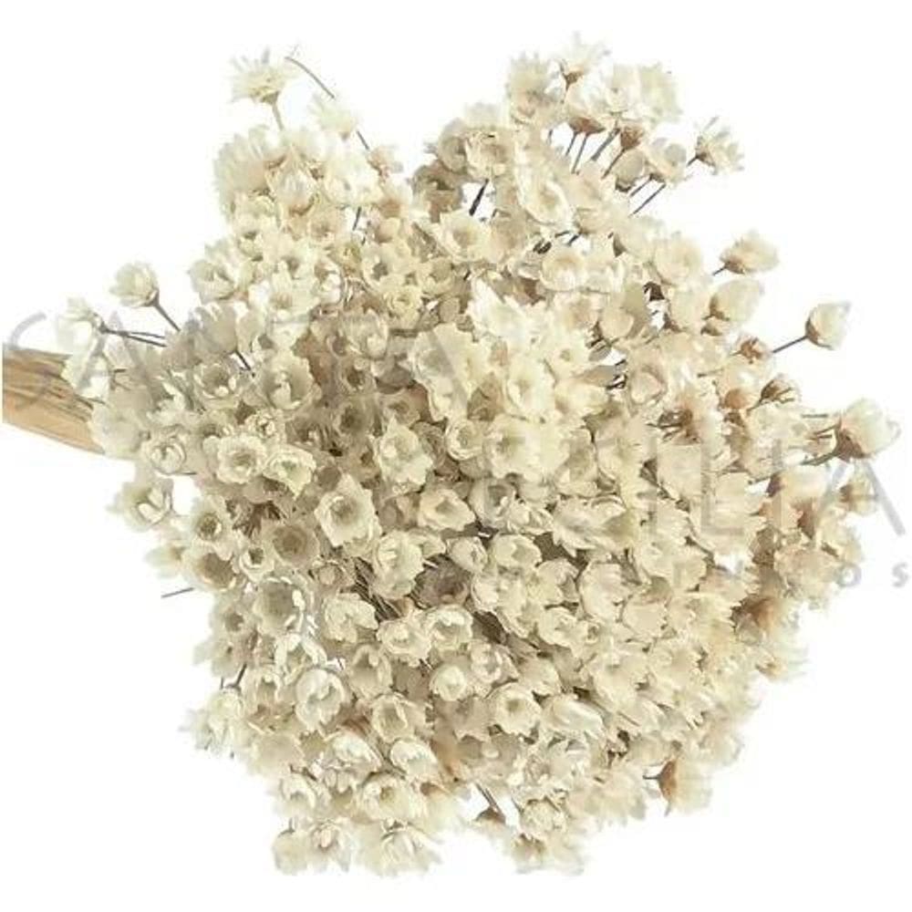 2X Flor Desidratada Sempre Viva C/300Un Branca Decoração Fes