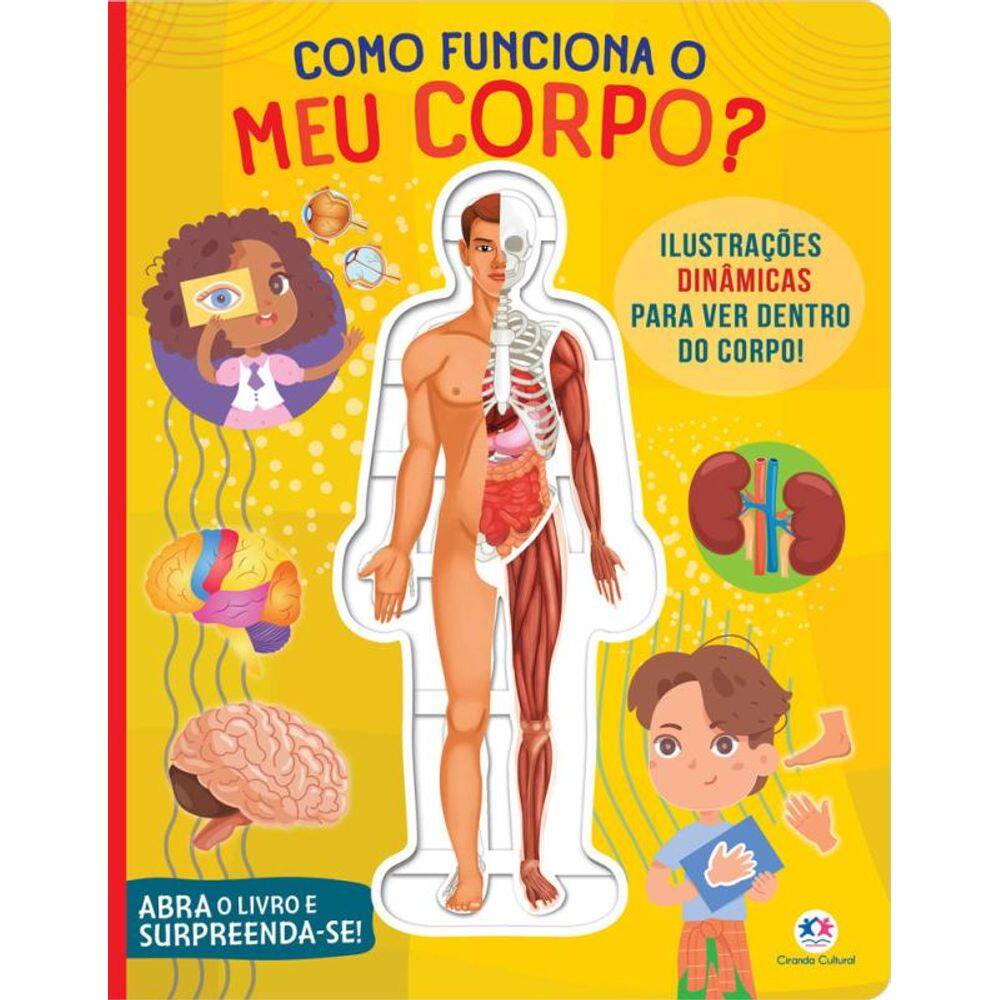 Como funciona o meu corpo?
