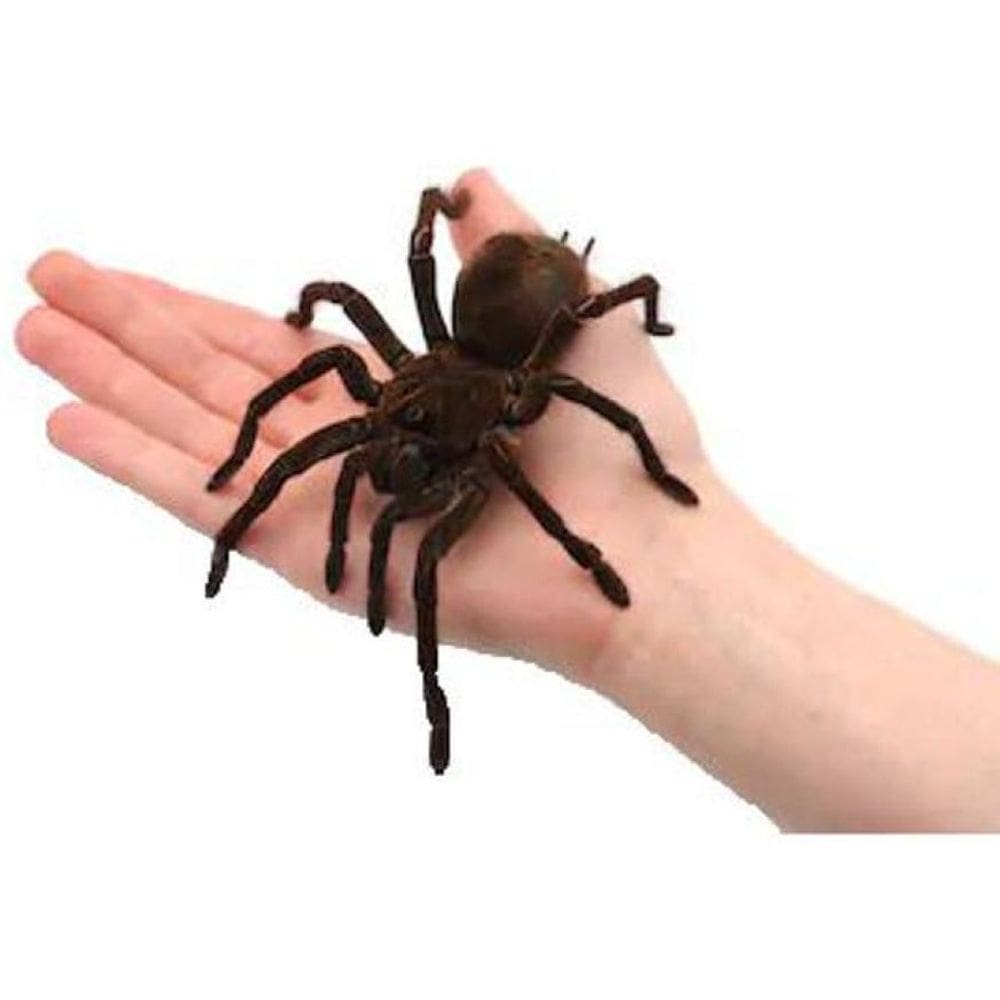 Aranha Na Mão - Magica The Web B+