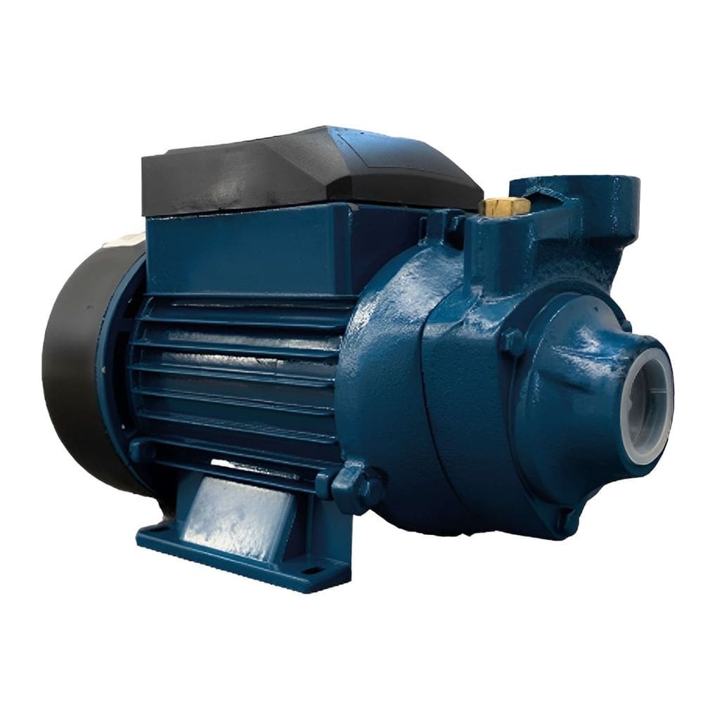 Motobomba Periférica BP80 1,0HP Mono 110 Volts - 10027207000 - LEPONO