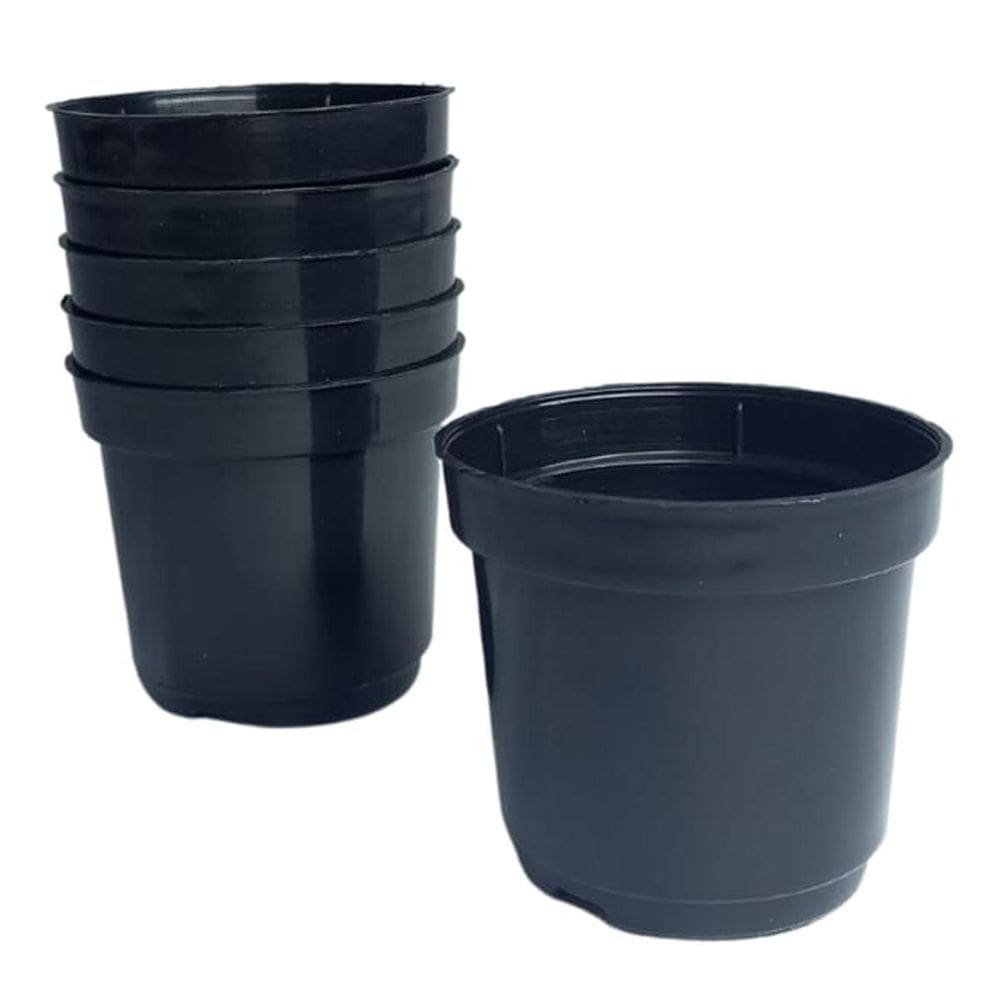 Kit Com 6 Vasos Para Plantio Pequeno P06 Preto 5,5X5 Cm
