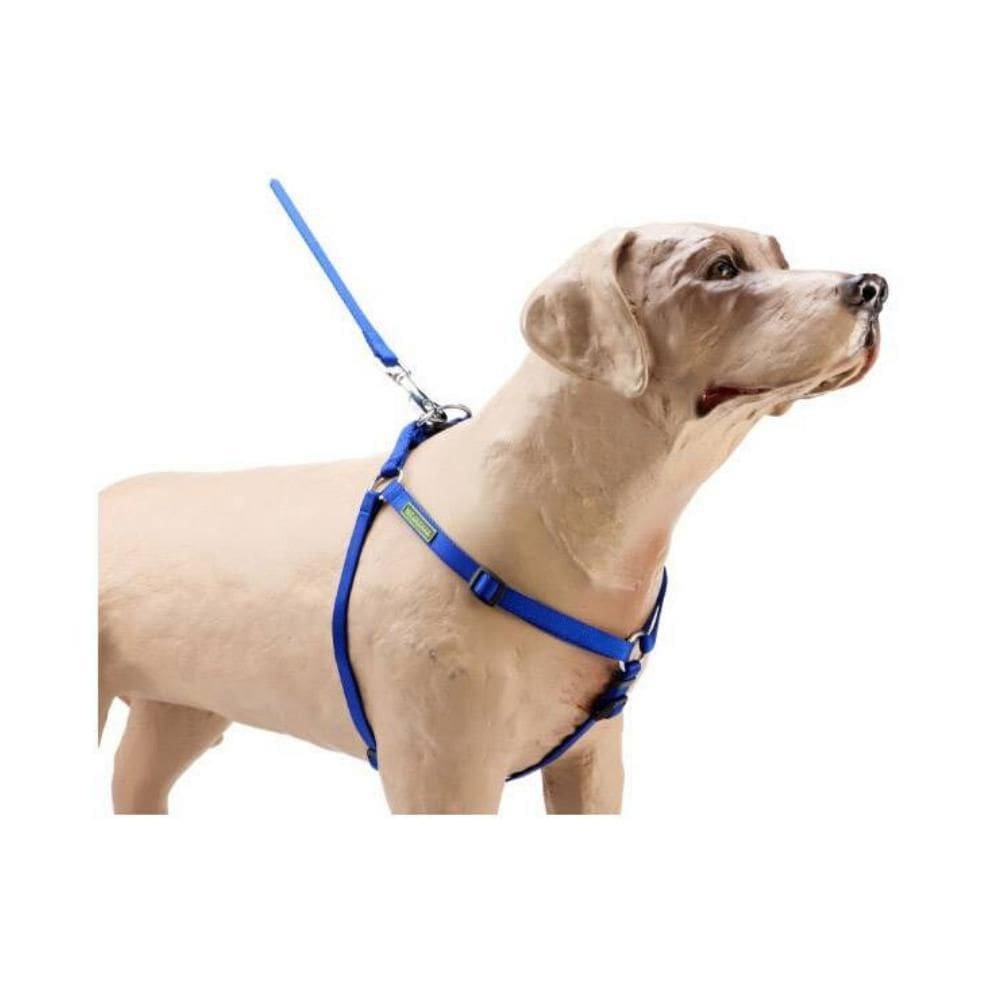 Peitoral Com Regulagem K-9 Spirit Azul M